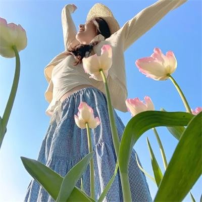 诺娃队长
